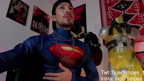 Snapshot of tigerstripes_ chatting on 21, 3, 2026 Chris online show from 21, 3, 2026