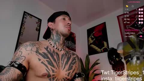 Snapshot of tigerstripes_ chatting on 24, 3, 2026 Chris online show from 24, 3, 2026