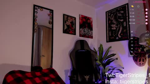 Snapshot of tigerstripes_ chatting on 25, 3, 2026 Chris online show from 25, 3, 2026