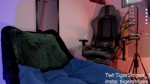 Snapshot of tigerstripes_ chatting on 28, 3, 2026 Chris online show from 28, 3, 2026