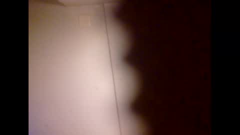 Snapshot of tigga81 chatting on 20, 4, 2026 Tiger Lexy online show from 20, 4, 2026