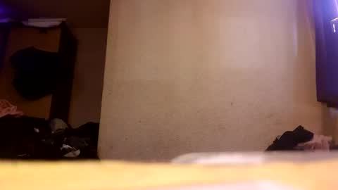 Snapshot of tigga81 chatting on 4, 5, 2026 Tiger Lexy online show from 4, 5, 2026