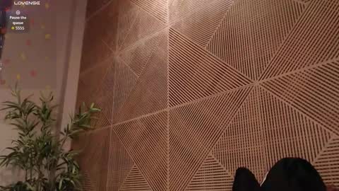 Snapshot of tim__fox chatting on 17, 2, 2026 Tim Fox online show from 17, 2, 2026