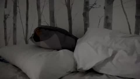 Snapshot of timtim777888 chatting on 11, 3, 2025 Tim online show from 11, 3, 2025