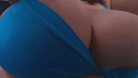 tinkerbell online show from 4, 11, 2025