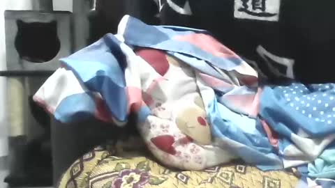 Snapshot of titssmall123 chatting on 22, 4, 2026 Ester online show from 22, 4, 2026