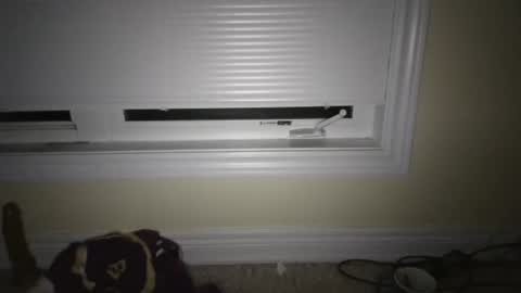 Snapshot of tj526316275 chatting on 23, 4, 2026 tj526316275 online show from 23, 4, 2026