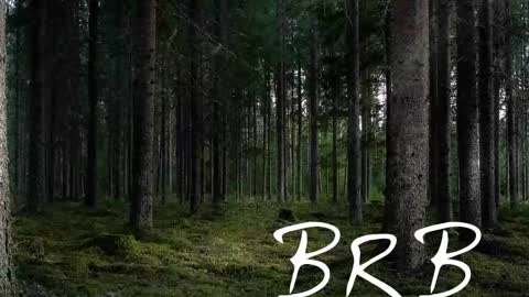 Snapshot of tmosmun chatting on 2, 11, 2025 Tim online show from 2, 11, 2025