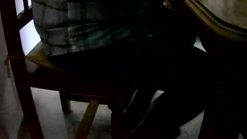 Snapshot of tobikoyuzu chatting on 1, 12, 2024 Tobiko online show from 1, 12, 2024