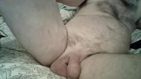 Snapshot of toddbells chatting on 13, 2, 2026 toddbells online show from 13, 2, 2026