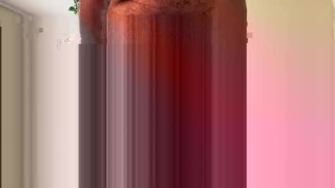 Snapshot of toddmacg chatting on 23, 11, 2025 toddmacg online show from 23, 11, 2025