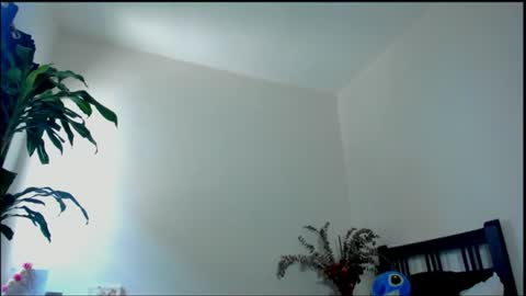 Snapshot of tokyo_girls chatting on 28, 7, 2026 Tokyo online show from 28, 7, 2026