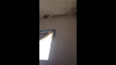 Snapshot of tolenevelyn46 chatting on 3, 6, 2026 tolenevelyn46 online show from 3, 6, 2026