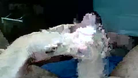Snapshot of tom4yourself chatting on 29, 5, 2026 tom4yourself online show from 29, 5, 2026