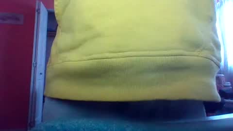 tomcat4848 online show from 15, 2, 2025