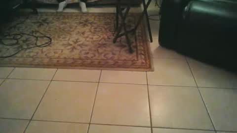 Snapshot of tomcatsawyer chatting on 20, 3, 2026 sirmuggsalot online show from 20, 3, 2026