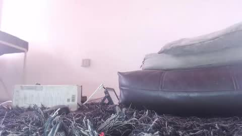 Snapshot of tommy_c0rtez chatting on 26, 2, 2026 Thomas online show from 26, 2, 2026