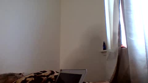 Snapshot of tommyandtomara chatting on 2, 5, 2026 tommyandtomara online show from 2, 5, 2026