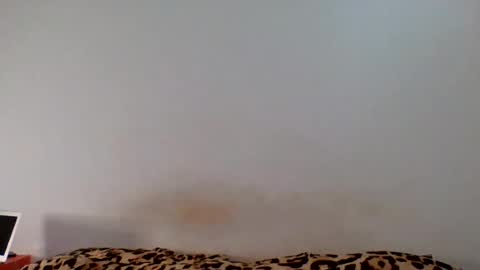 Snapshot of tommyandtomara chatting on 17, 6, 2026 tommyandtomara online show from 17, 6, 2026