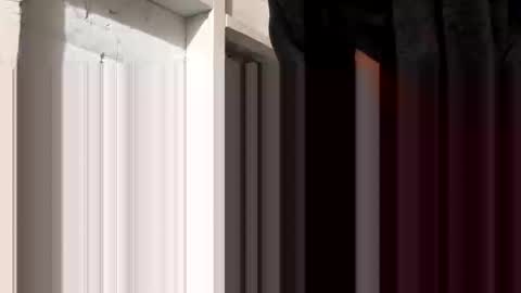 tonguefuckingyourass online show from 30, 10, 2025