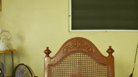 Antonio online show from 3, 2, 2025