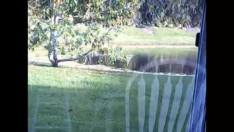 Snapshot of tonymcfly99 chatting on 21, 2, 2025 tonymcfly99 online show from 21, 2, 2025