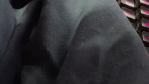 Snapshot of tonysafari chatting on 27, 2, 2025 tonysafari online show from 27, 2, 2025