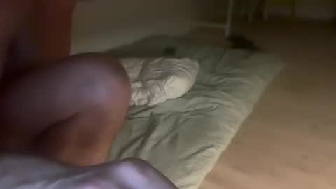 tordep online show from 14, 11, 2025