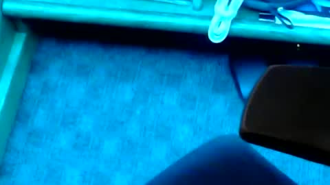 Snapshot of tornne chatting on 2, 2, 2025 tornne online show from 2, 2, 2025