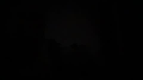 torofermo705033 online show from 10, 11, 2025