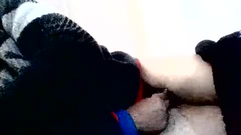 torresurionasantos online show from 2, 2, 2026