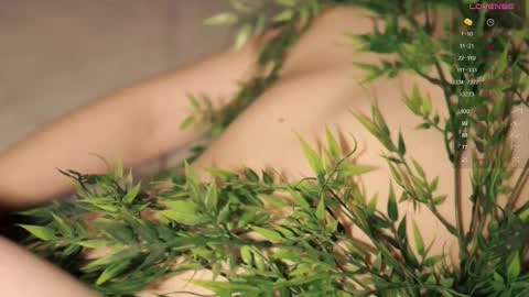 Toshi online show from 3, 11, 2025