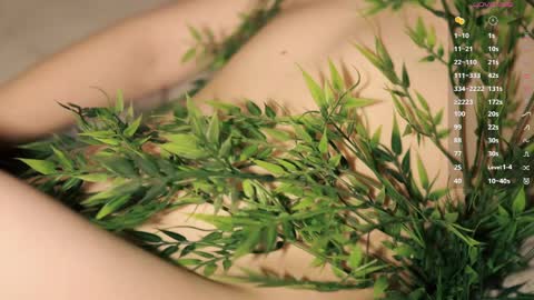 Toshi online show from 5, 4, 2026