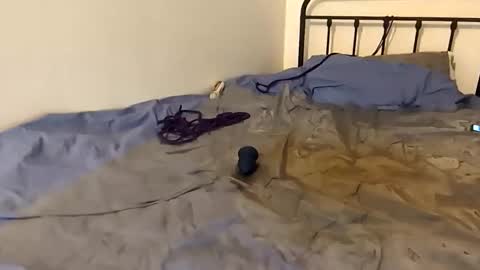 Snapshot of toxic2lust chatting on 4, 3, 2026 toxic2lust online show from 4, 3, 2026