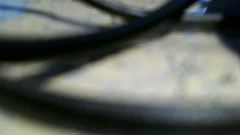 Snapshot of trailblazer1969 chatting on 9, 6, 2026 trailblazer1969 online show from 9, 6, 2026
