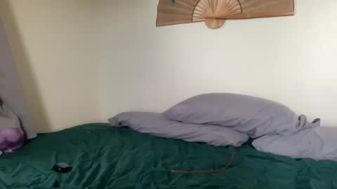 DD online show from 14, 4, 2026