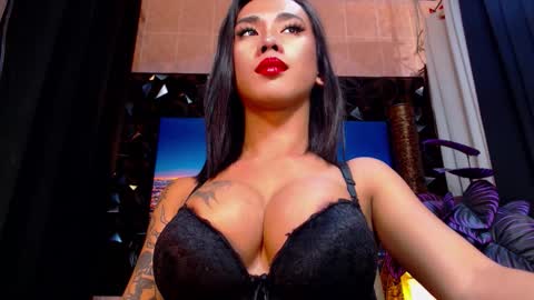 transpornidol online show from 4, 12, 2025