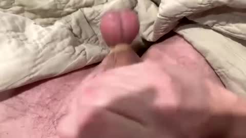 tree553 online show from 13, 1, 2025