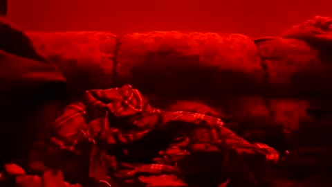 tretrix5588 online show from 11, 1, 2025