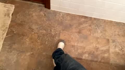 Snapshot of trevgrad08 chatting on 8, 12, 2024 Mystic allusion online show from 8, 12, 2024