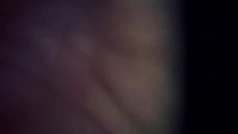 Snapshot of trex23rd chatting on 6, 3, 2026 trex23rd online show from 6, 3, 2026