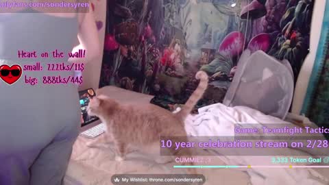 Snapshot of tricky_nymph chatting on 26, 2, 2026 Cassie online show from 26, 2, 2026