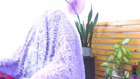 Snapshot of trix_fiore_oficial chatting on 1, 2, 2026 Trix online show from 1, 2, 2026