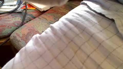 Snapshot of trobelle chatting on 26, 4, 2026 trobelle online show from 26, 4, 2026