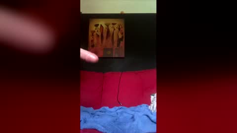 Snapshot of troupin chatting on 7, 6, 2026 troupin online show from 7, 6, 2026