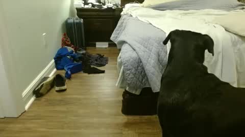 troy1965 online show from 29, 9, 2025