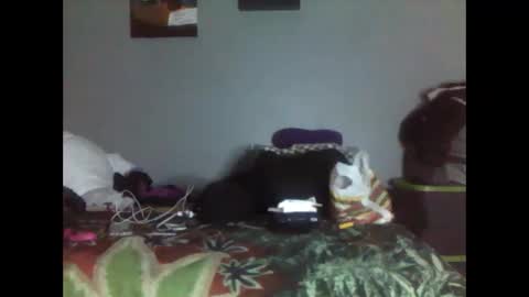 Snapshot of trublu2018 chatting on 17, 1, 2026 trublu2018 online show from 17, 1, 2026