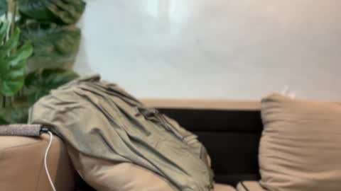 kendall online show from 17, 9, 2025