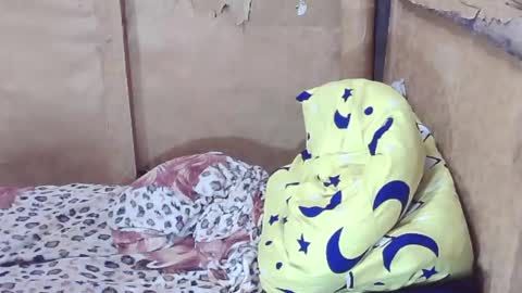 carmella online show from 29, 12, 2024