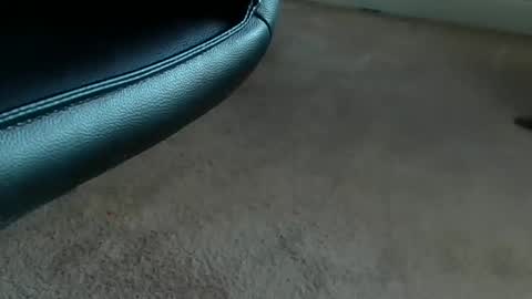 Snapshot of tthornburg chatting on 9, 4, 2026 tthornburg online show from 9, 4, 2026